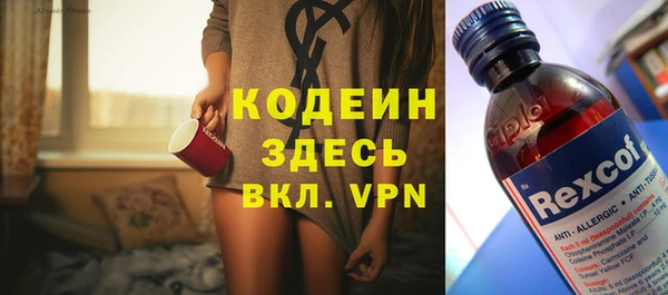 хмурый Алзамай