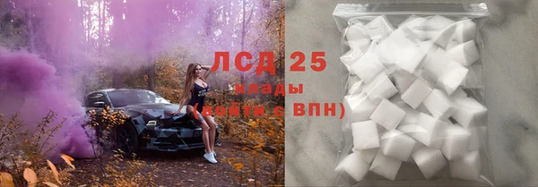 хмурый Алзамай