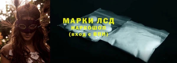 хмурый Алзамай