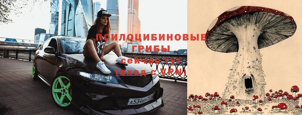 прущий лед Алексин