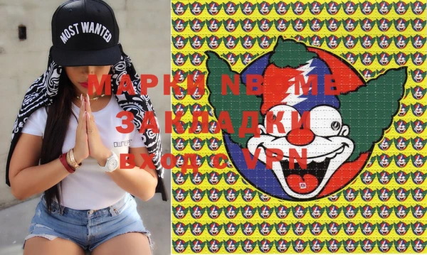 хмурый Алзамай