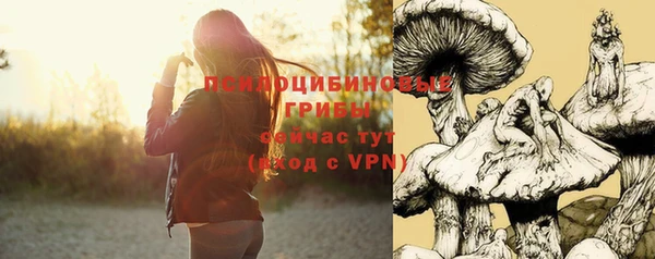 прущий лед Алексин
