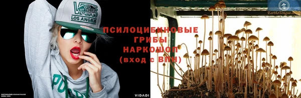 прущий лед Алексин