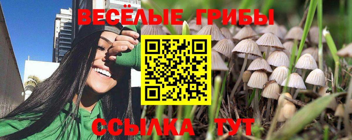 Галлюциногенные грибы GOLDEN TEACHER Бирск
